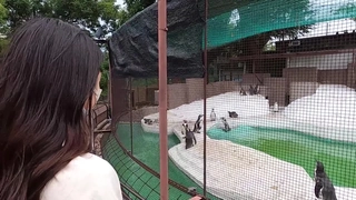 網紅模特 就是阿朱啊 福利全集 福利視頻 33