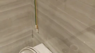 纯欲小黑猫三月十九号