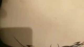 家事派遣员