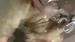 洗咪咪